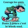 téléchargement.jpg