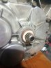 IMG-20170302-WA0001.jpg