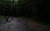 Selva%u0025252520Negra.jpg