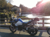IMG molino 40.gif