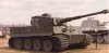 tiger30.jpg