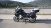 SL551370.JPG