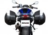 a_shad5685.jpg