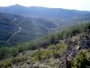 20170423_095303.jpg
