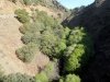 20170423_102808.jpg
