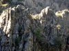 20170423_102842.jpg