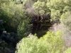 20170423_102847.jpg