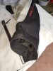 IMG-20170427-WA0042.jpg