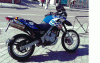 foto 1.gif
