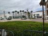 IMG_20170430_113136097.jpg