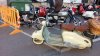 20170507_094754.jpg