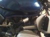 thump_9306033foto0194.jpg