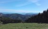 20170514_112252.jpg