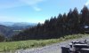 20170514_112314.jpg
