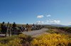 DSC_0010.JPG DSC_0010.JPG