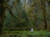 Olympic National Park, Washington.jpg