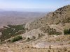 IMG_1206.JPG