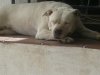 20170423_171718.jpg