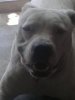 20160717_144908.jpg