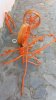 IMG-20170617-WA0000.jpg