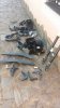 IMG-20170619-WA0001.jpg