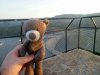 20170617_070229.jpg