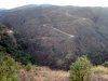 20170617_081011.jpg