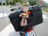 20170617_171021.jpg