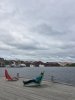 IMG_7557.JPG