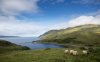 scotland-Ardnamurc_3375868b.jpg