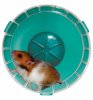 hamster.jpg