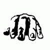 0051.gif