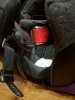 IMG_20170615_173609.jpg