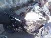 IMG_20170715_103413.jpg