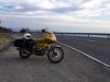 IMG_0987.JPG