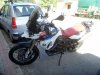 20170729_111912.jpg