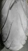 IMG-20170801-WA0022.jpg