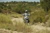 IMG_9764.JPG