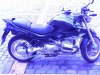 200702271347_188.jpg