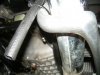 DSCN2538.JPG