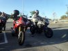 20170819_083309.jpg