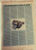 IMG-20170905-WA0030.jpg