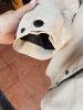 IMG-20170916-WA0018.jpg