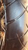 IMG-20170921-WA0081.jpeg