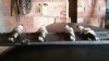 20170923_123208.jpeg