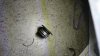 DSC_7832 R.jpg