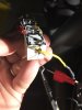 20170928_1209492714.jpg