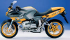 r1100s_dobleIg.png