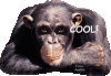 chimpanze_trop_cool.gif