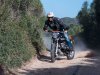 Scrambler4.jpg